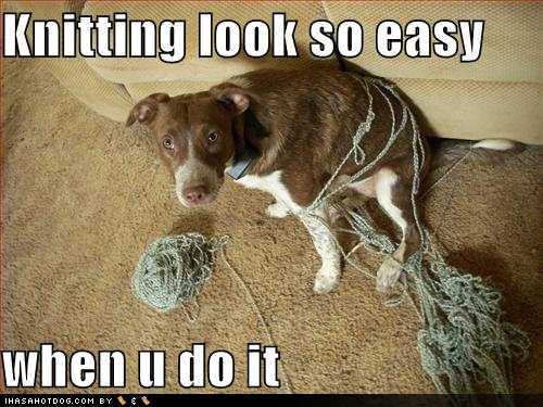 funny-dog-pictures-knitting-look-so-easy